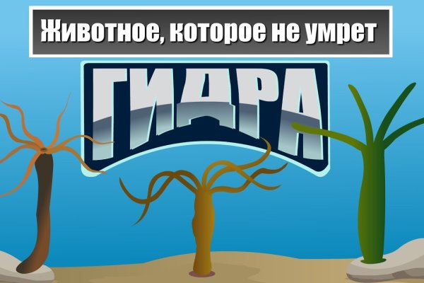 Кракен тор