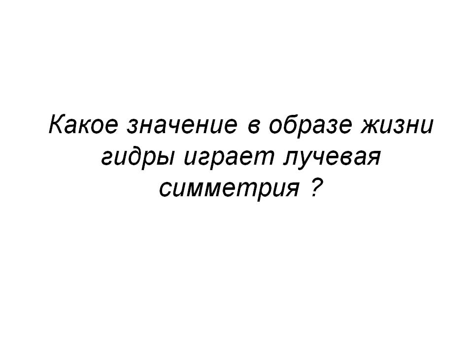 Кракен в обход блокировки